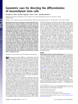 PDF + SI - Northwestern University