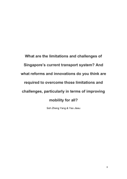 Soh Zheng Yang and Yao Jia Xu - Lee Kuan Yew School of Public