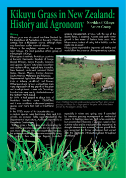 Kikuyu Grass In New Zealand - Ministry of Agriculture and Forestry