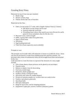 Creating Story Vines