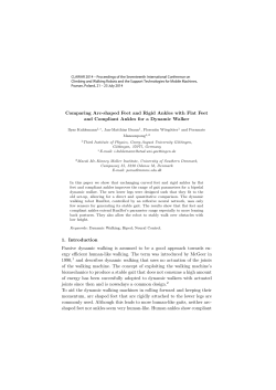 Comparing Arc-shaped Feet and Rigid Ankles with Flat Feet and