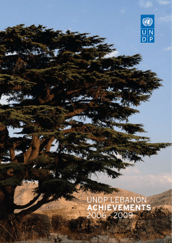 UNDP LebaNoN ACHIEVEMENTS 2006