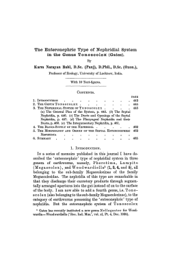The Enteronepliric Type of Nephridial System in the Genus