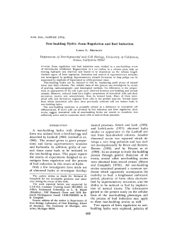 Non-budding Hydra: Form Regulation and Bud Induction