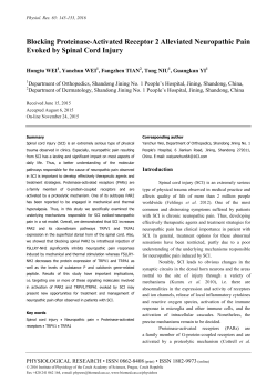 Full version (PDF file)