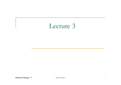 Lecture 3