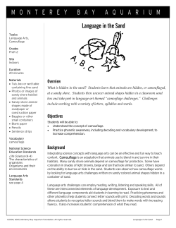 Language in the Sand.LM.09.18.Library Version