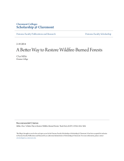 A Better Way to Restore Wildfire-Burned Forests