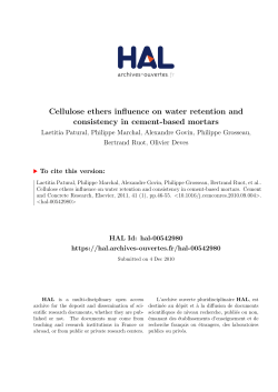 Cellulose ethers influence on water retention and consistency