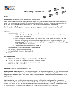 Interpreting Animal Tracks