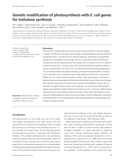 Genetic modification of photosynthesis with E. coli genes for