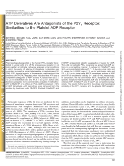 ATP Derivatives Are Antagonists of the P2Y1 Receptor