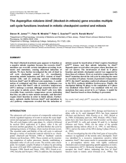 The Aspergillus nidulans bimE (blocked-in