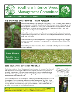 Hoary Alyssum Scientific Name: Berteroa incana