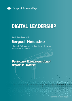 Serguei Netessine - Capgemini Consulting