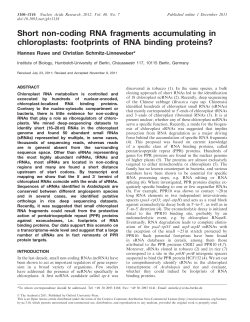 Short non-coding RNA fragments accumulating in chloroplasts