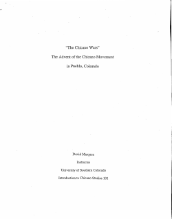 "The Chcano Wars" The Advent of the Chicano Movement in Pueblo