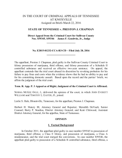 STATE OF TENNESSEE v. PRESTON J. CHAPMAN
