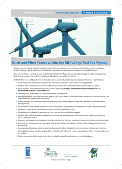 Birds and Wind Farms within the Rift Valley/ Red Sea Flyway