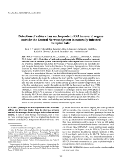 Detection of rabies virus nucleoprotein