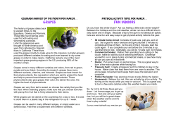 10-Article March Grapes English