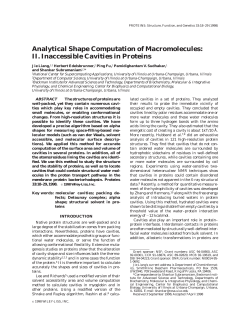 Analytical Shape Computation of Macromolecules: II
