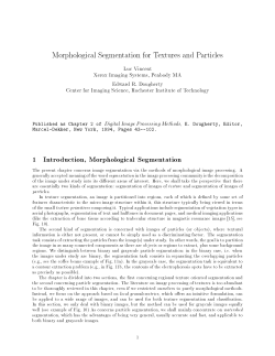 1 Introduction, Morphological Segmentation - Vincent