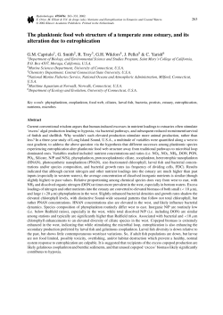 The planktonic food web structure of a temperate zone estuary, and