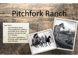Pitchfork Ranch