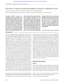 The effect of a single nucleotide polymorphism on human 2