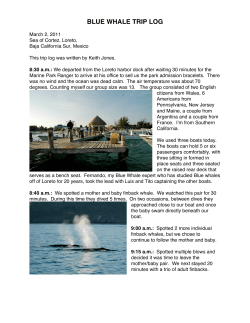 Blue whale trip log March 2011