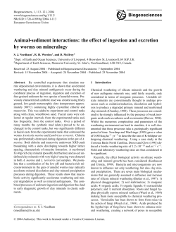 Animal-sediment interactions: the effect of