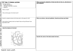 B2 Topic 3 Common systems
