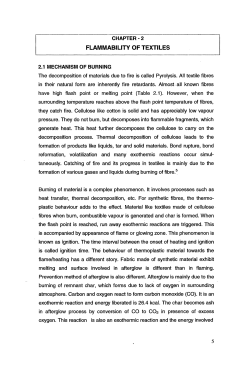 FLAMMABILITY OF TEXTILES