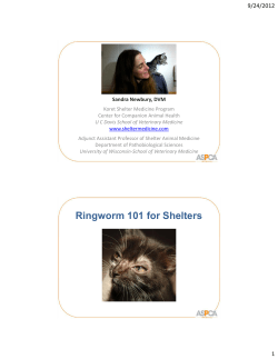 Ringworm 101 for Shelters