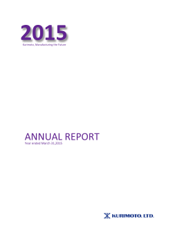 ANNUAL REPORT