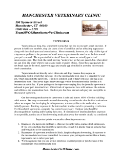 MANCHESTER VETERINARY CLINIC