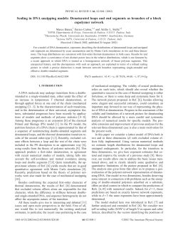 Scaling in DNA unzipping models - INFN