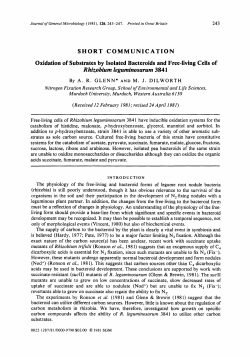 Oxidation of Substrates by Isolated Bacteroids and