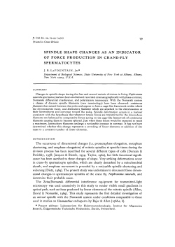 spindle shape changes as an indicator of force