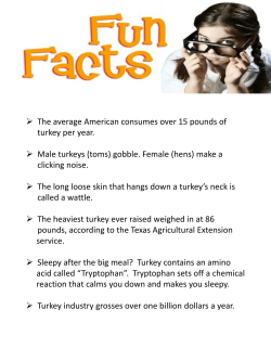 The long loose skin that hangs down a turkey`s neck is