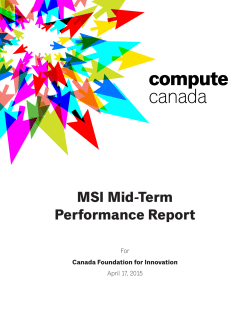 MSI Mid-Term Performance Report
