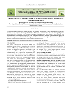 morphological and biochemical studies on bacterial microfauna from