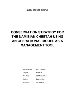 Cheetah Conservation in Namibia 2012