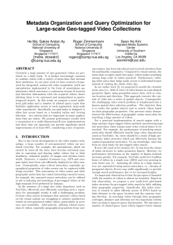 Metadata Organization and Query Optimization for Large