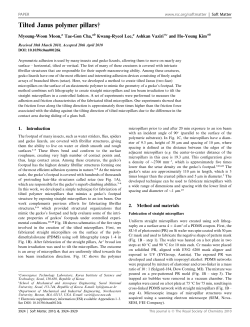 Tilted Janus polymer pillars - Micro Fluid Mechanics Lab, Seoul Natl