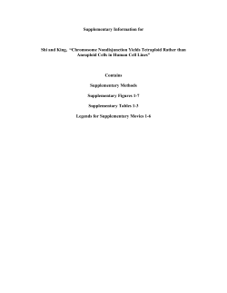 Supplementary Information for Shi and King, &ldquo;Chromosome