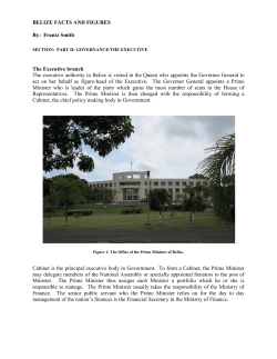 The Executive - Belize Info Center