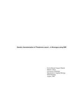 Genetic characterization of Theobroma cacao L. in