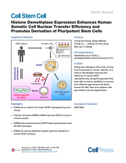 Histone Demethylase Expression Enhances Human Somatic Cell